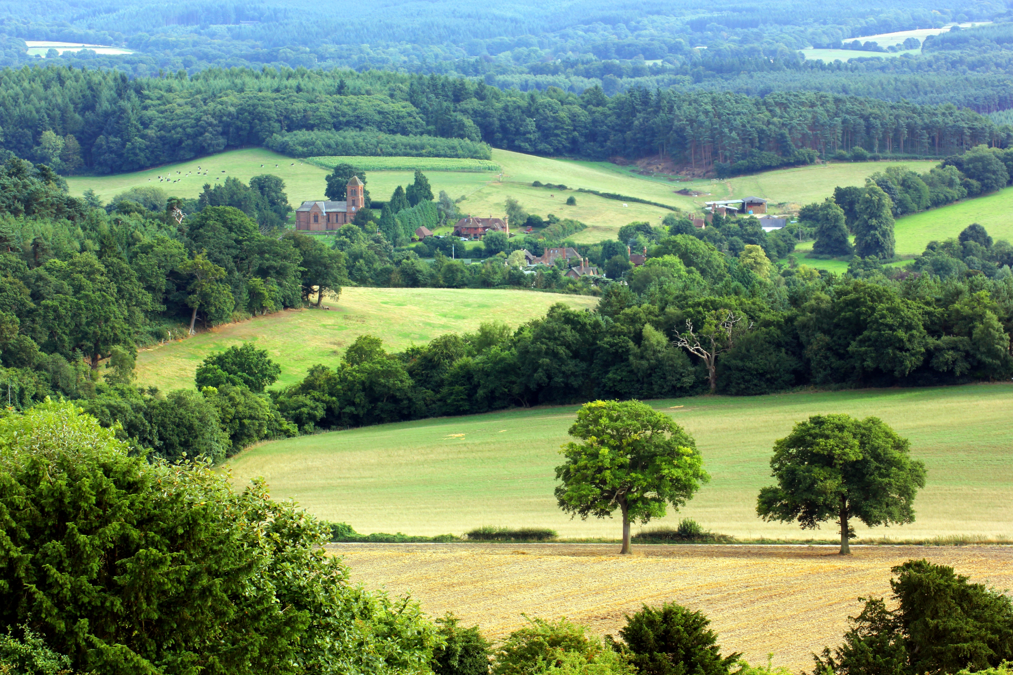 english-countryside.jpg